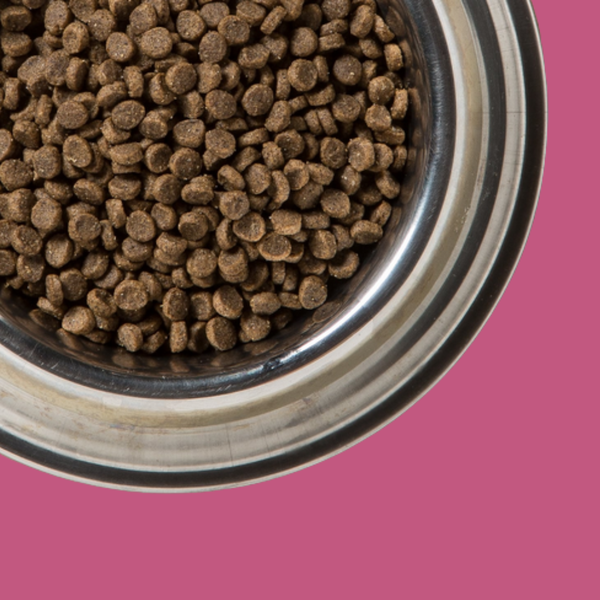 Diamond Naturals Small Breed Adult Lamb & Rice 6#