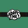 Dog Jiby Adopt Me