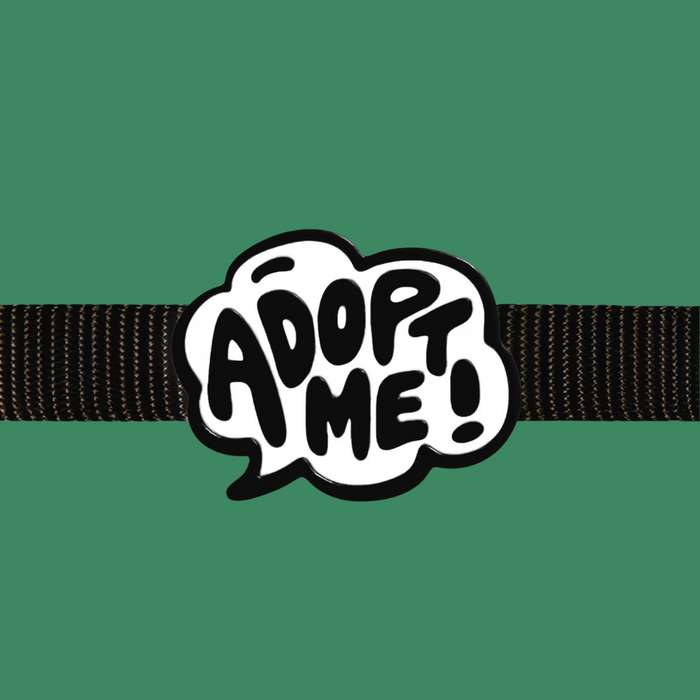 Dog Jiby Adopt Me