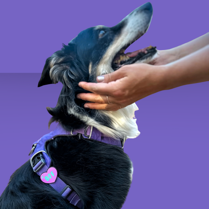 Dog Jiby BFF Pink