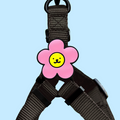 Dog Jiby Daisy Pink