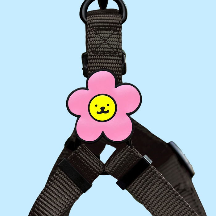 Dog Jiby Daisy Pink