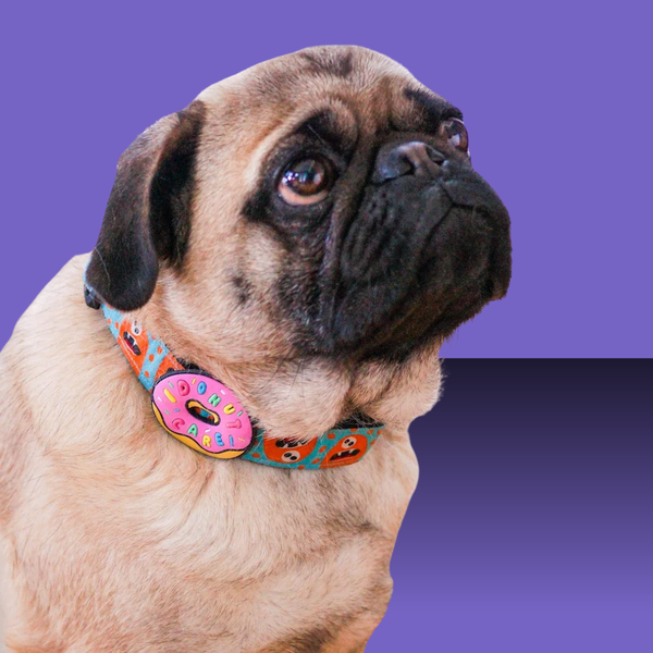 Dog Jiby I Donut Care Pink