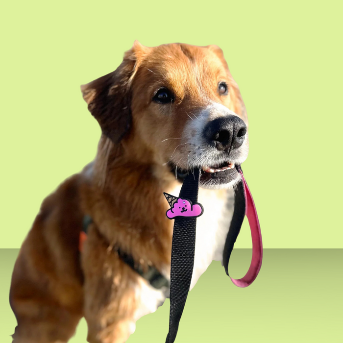 Dog Jiby Ice Cream