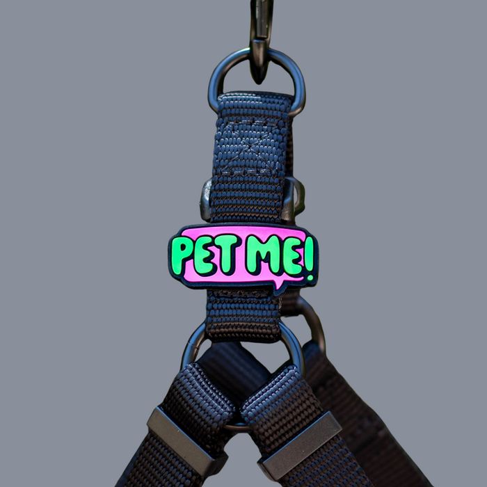 Dog Jiby Pet Me