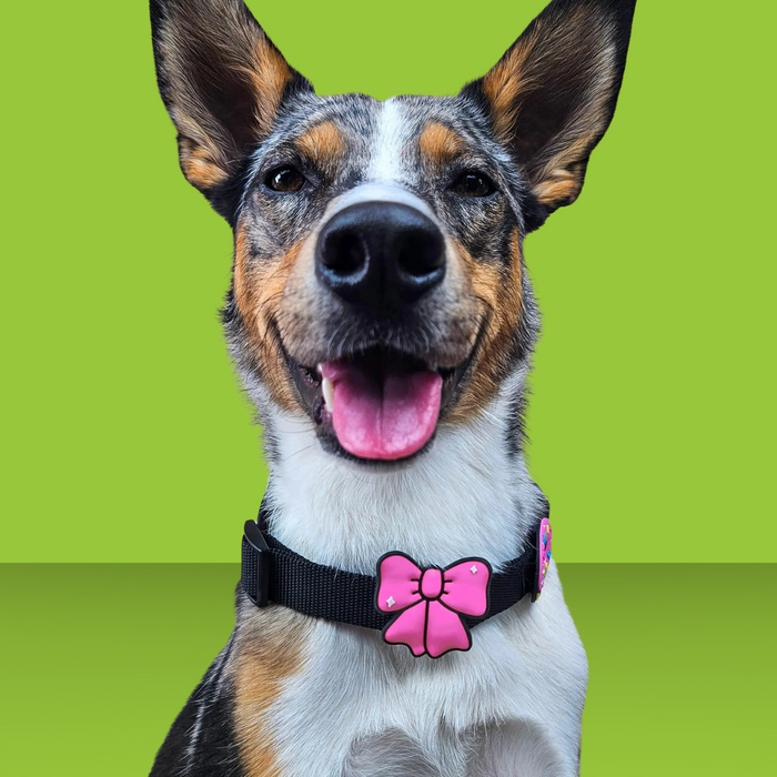 Dog Jiby Ribbon Pink