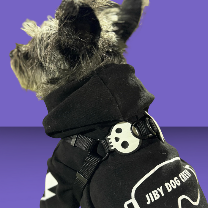 Dog Jiby Skull
