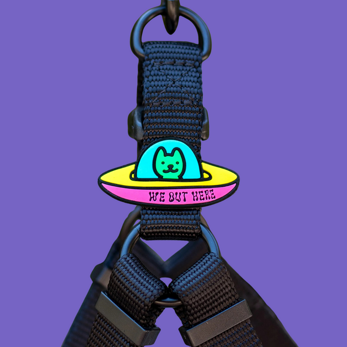 Dog Jiby UFO