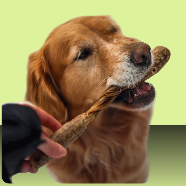 Dogginstix Lamb Collagen Barbell