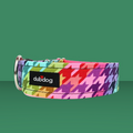 Dub Dog Tula Collar