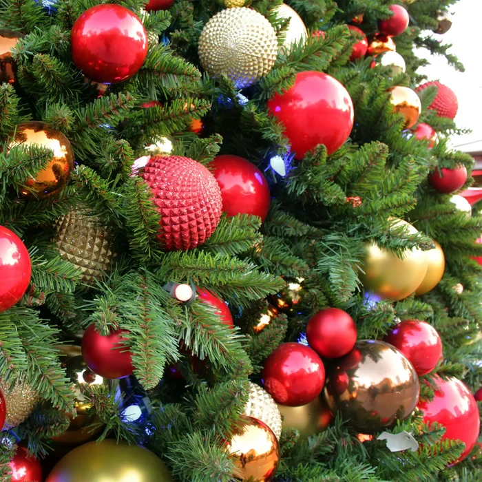 Close-up of a Christmas tree with red, gold, and silver ornaments.