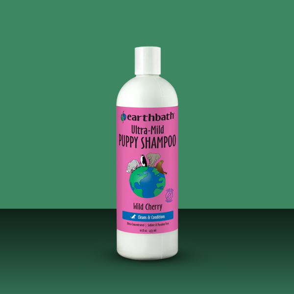 Earthbath Wild Cherrry Puppy Shampoo 16oz