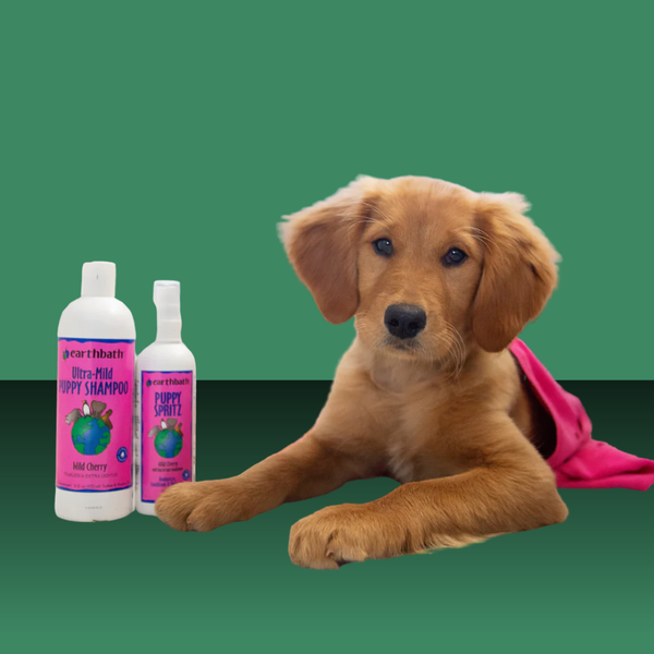 Earthbath Wild Cherrry Puppy Shampoo 16oz