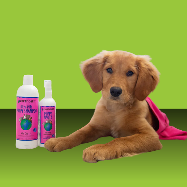 Earthbath Wild Cherry Puppy Spritz 8oz