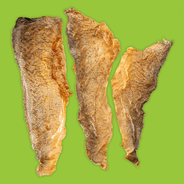 Earthly Walleye Skins 10 Pack