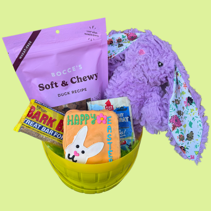 Easter Basket (with One Toy)