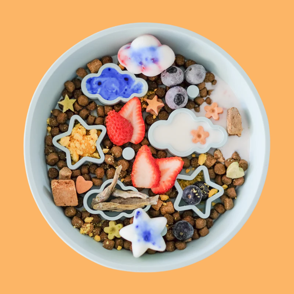 Emery Pets Slow Feeder Bowl Star Blue