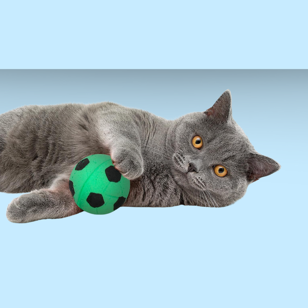 Ethical Sponge Soccer Ball 4 Pack