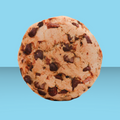 FabDog Pups Ahoy Cookie