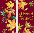 Fall Harvest Double Vinyl Banner Set Dekra-Lite