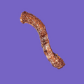 Farm Hounds Duck Neck