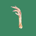 Farm Hounds Turkey Foot