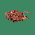 Farm Hounds Turkey Head