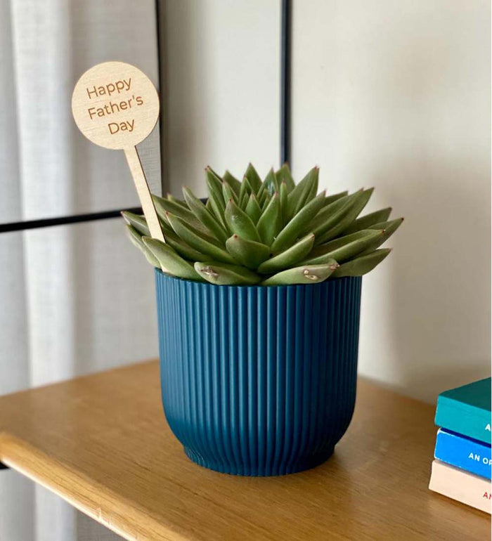 Fathers Day Plant Pick