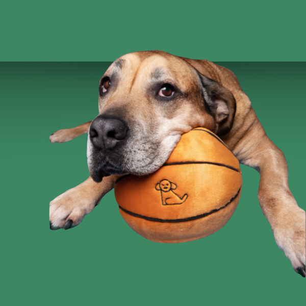 Fluff & Tuff Basketball