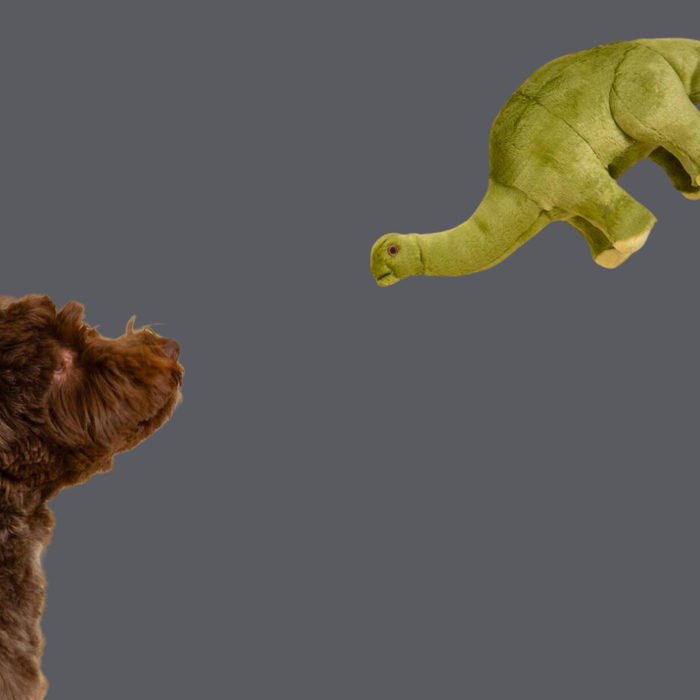 Fluff & Tuff Emily Brontosaurus