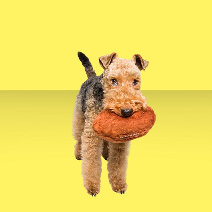 Fluff & Tuff Football