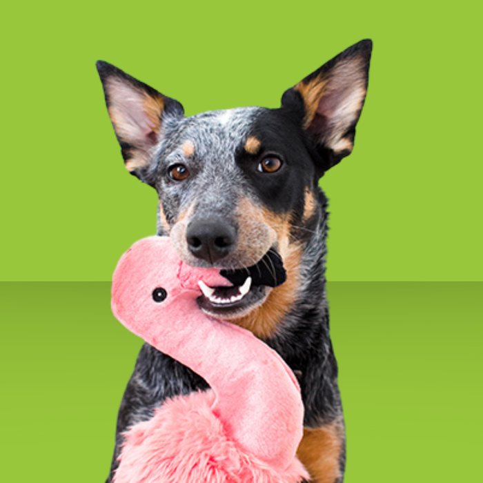 Fluff & Tuff Lola the Flamingo 18"