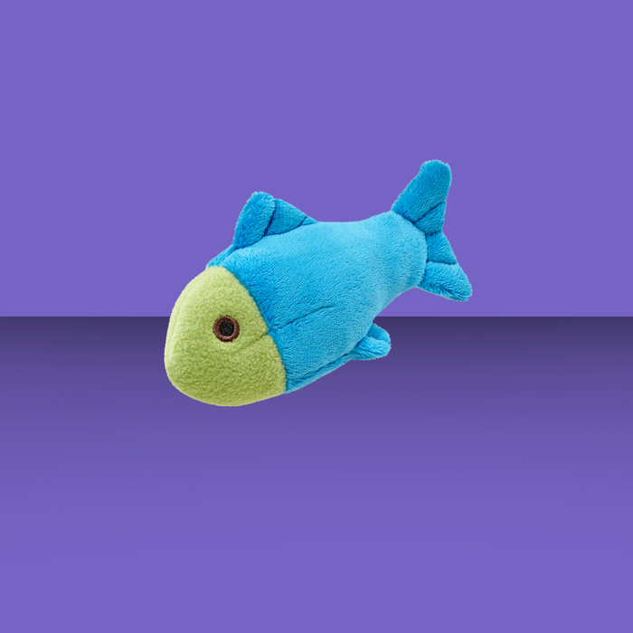 Fluff & Tuff Molly Fish