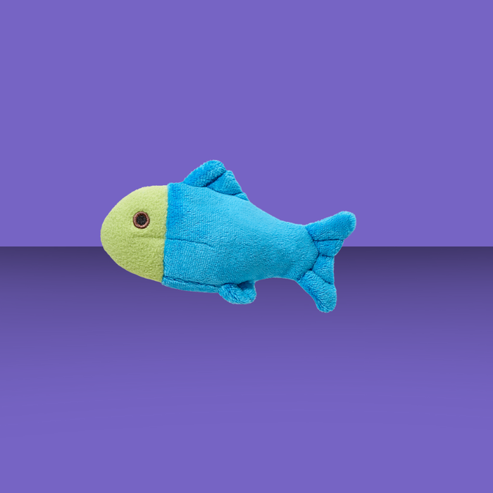 Fluff & Tuff Molly Fish