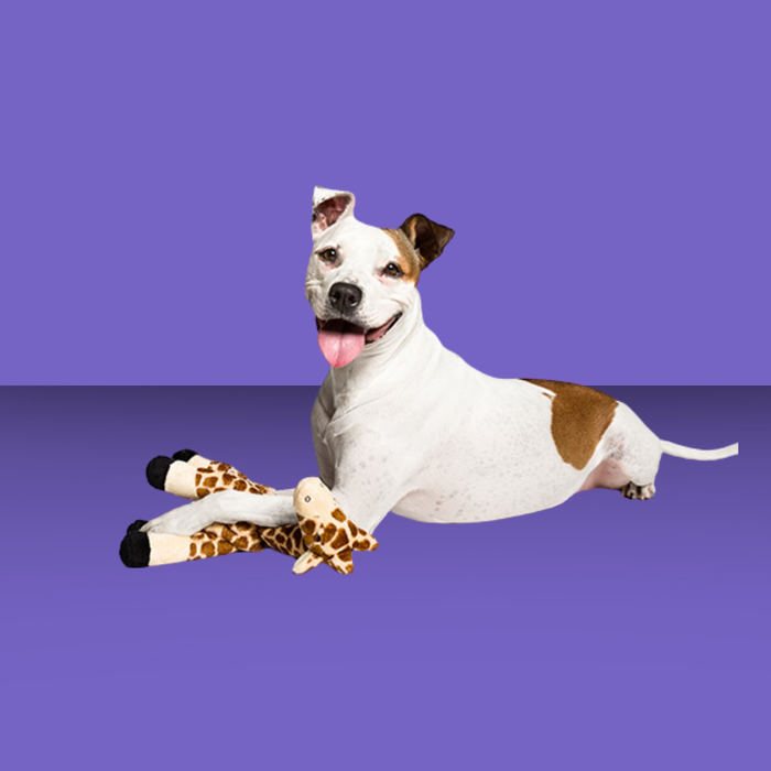 Fluff & Tuff Nelly Giraffe 13"