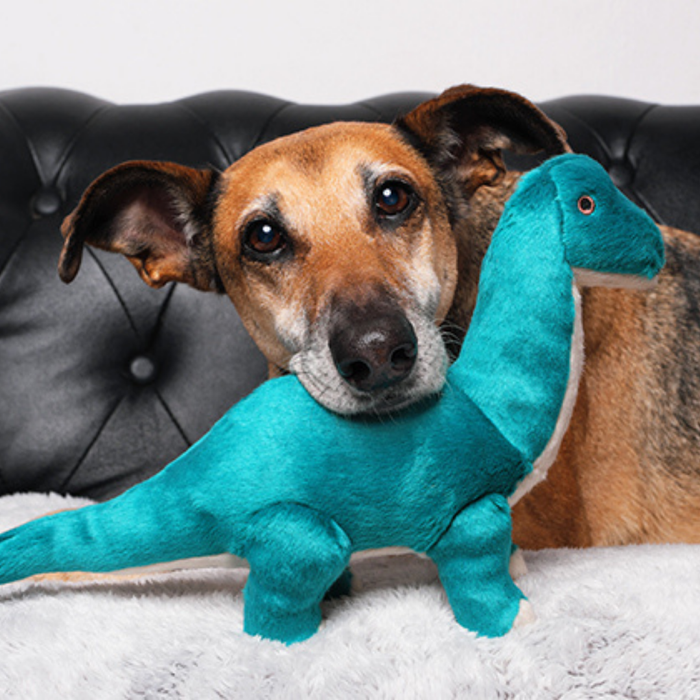 Fluff & Tuff Ross Brachiosaurus