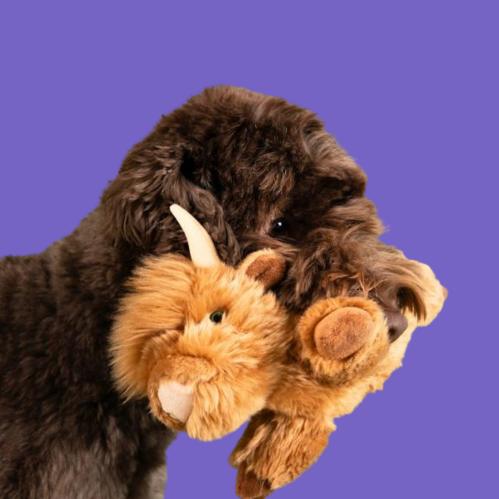 Fluff & Tuff Shaggy Cow