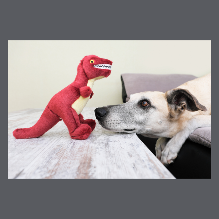 Fluff & Tuff Tiny T-Rex