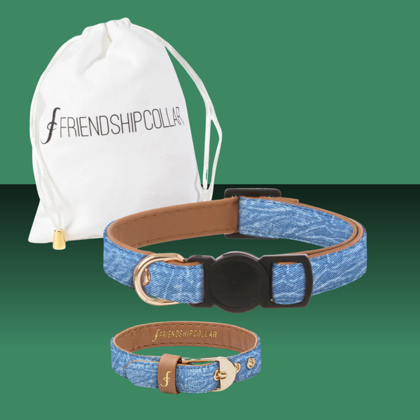 Friendship Collar 90's Vibes Cat