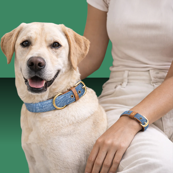 Friendship Collar 90's Vibes