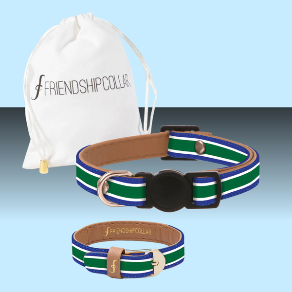 Friendship Collar Game Set Match Cat