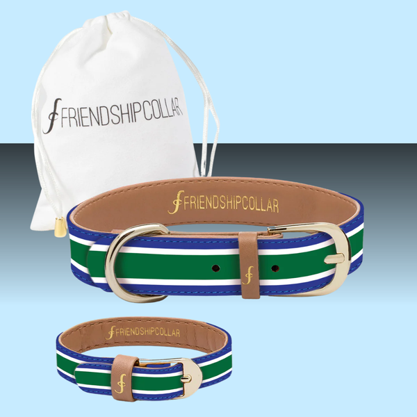 Friendship Collar Game Set Match