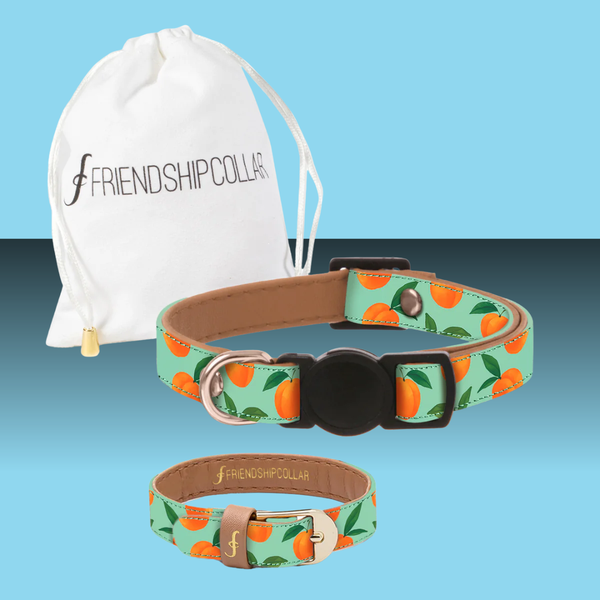 Friendship Collar Just Peachy Cat