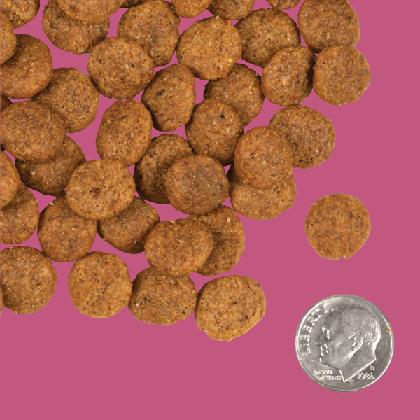 Fromm Gold Large Breed Adult 30#
