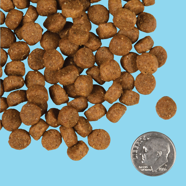 Fromm Gold Small Breed Adult 5#