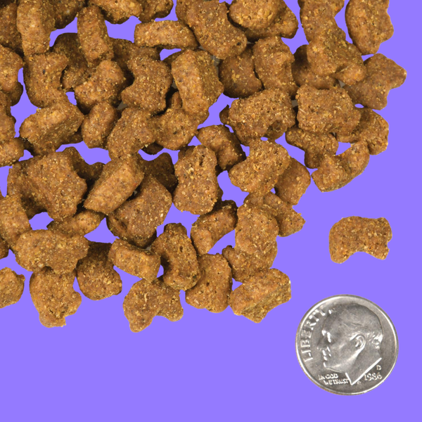 Fromm Lamb & Lentil 4#