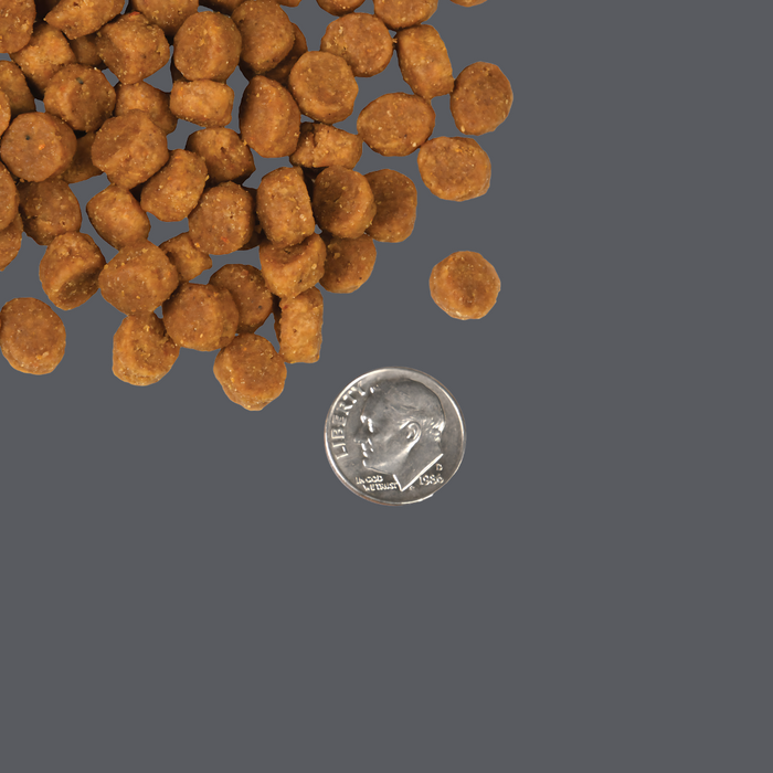 Fromm Pork & Peas 4# S