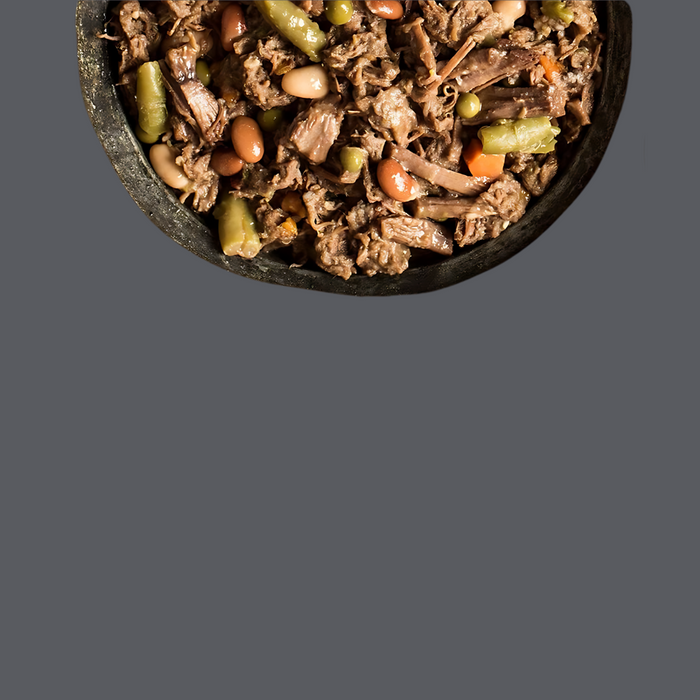 Fromm Shredded Beef in Gravy Entree 12oz S