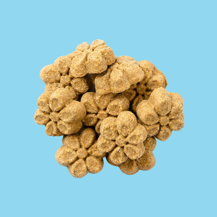 Fruitables Baked Pumpkin & Apple 7oz