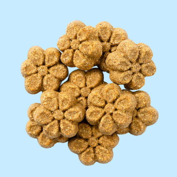 Fruitables Baked Pumpkin & Banana 7oz